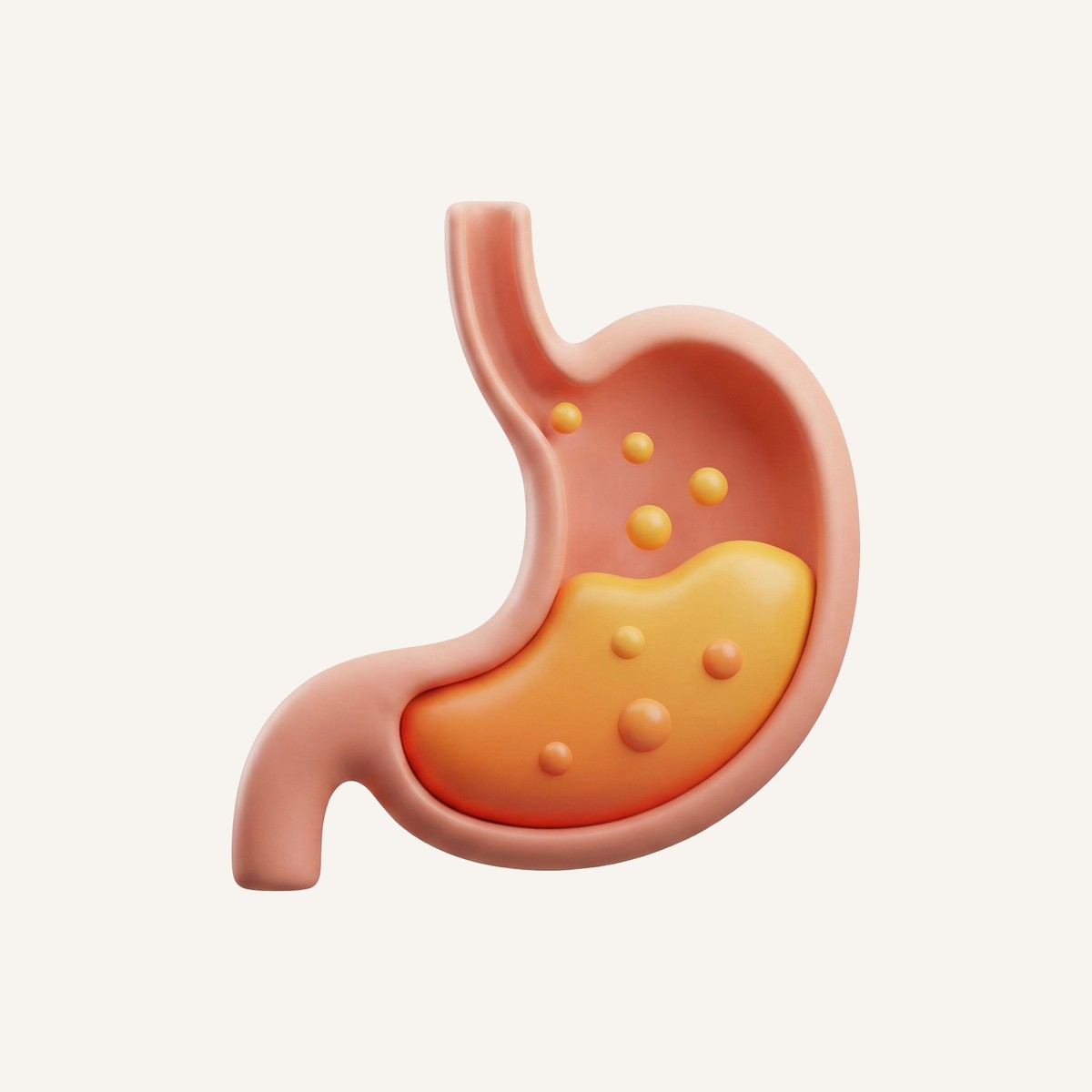 Illustration of a stomach